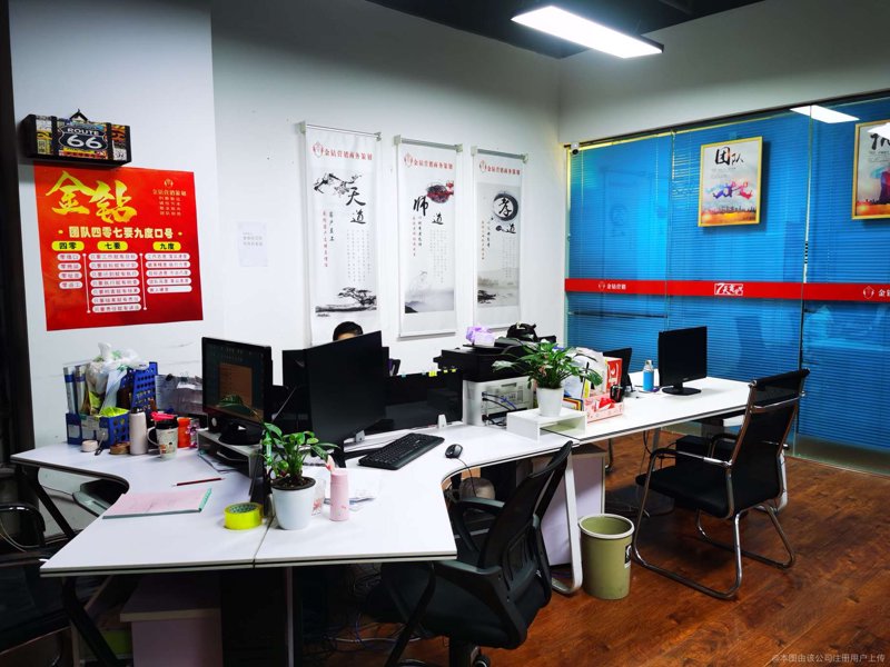 广州企业管理咨询市场动态洞察